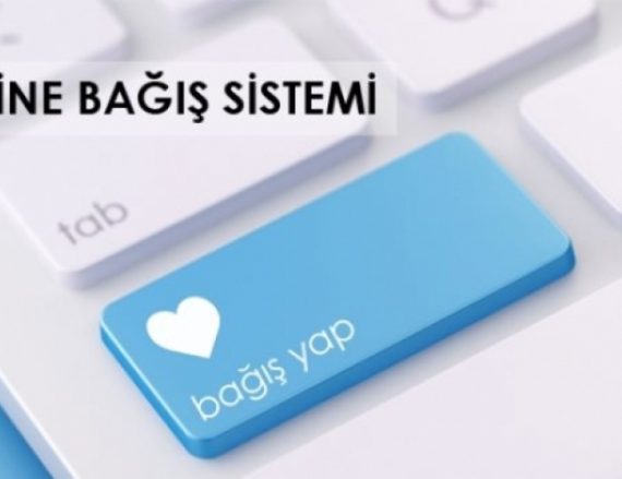 WordPress Bağış Eklentisi