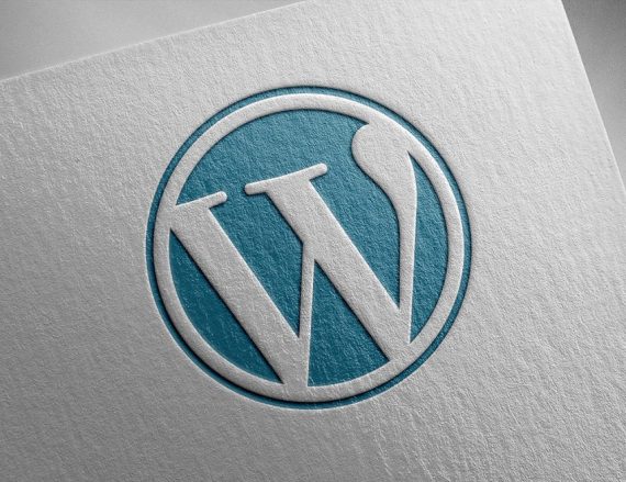 WordPress Danışmanı